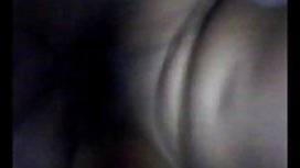 在你所有的猫射液