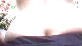 丰满的豪华猫咪