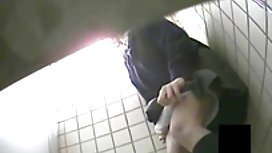 狐狸有多么婊子