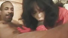 坏秘书，但一个完美的情人