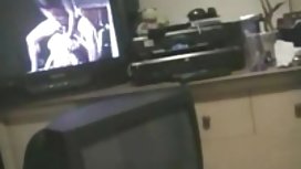 美丽的纹身的山雀